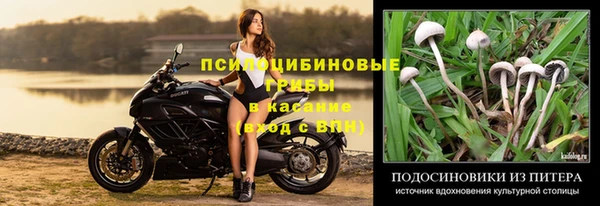прущая мука Абаза