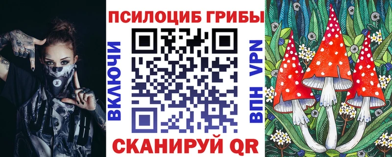 blacksprut ссылки  Новосибирск  Галлюциногенные грибы мицелий 
